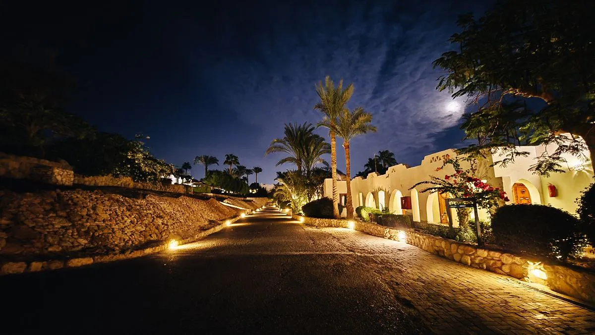 Domina Coral Bay Oasis Hotel & Resort фото 97