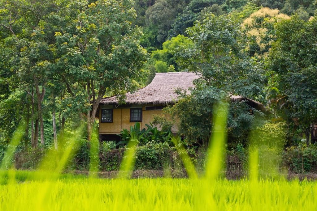 Hmong Hill Tribe Lodge фото 25