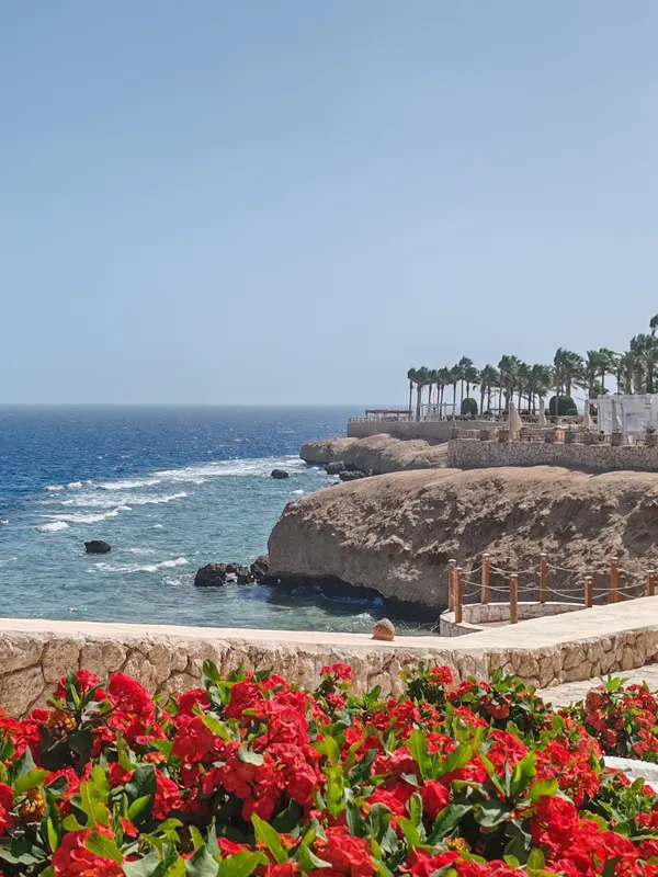 Sharm Club Beach Resort фото 88