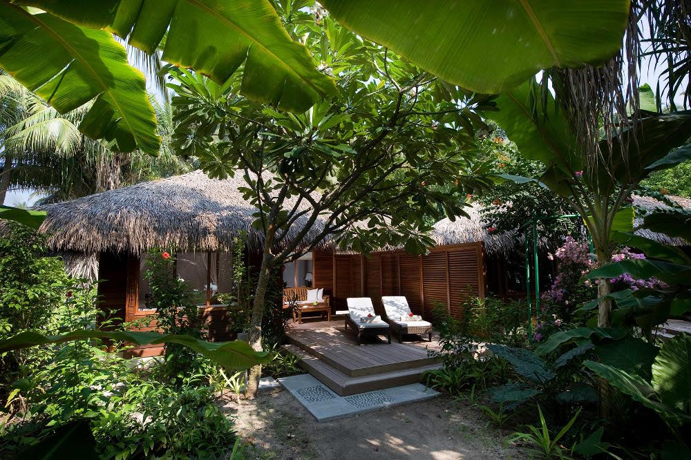 Niva Kuramathi Maldives фото 147