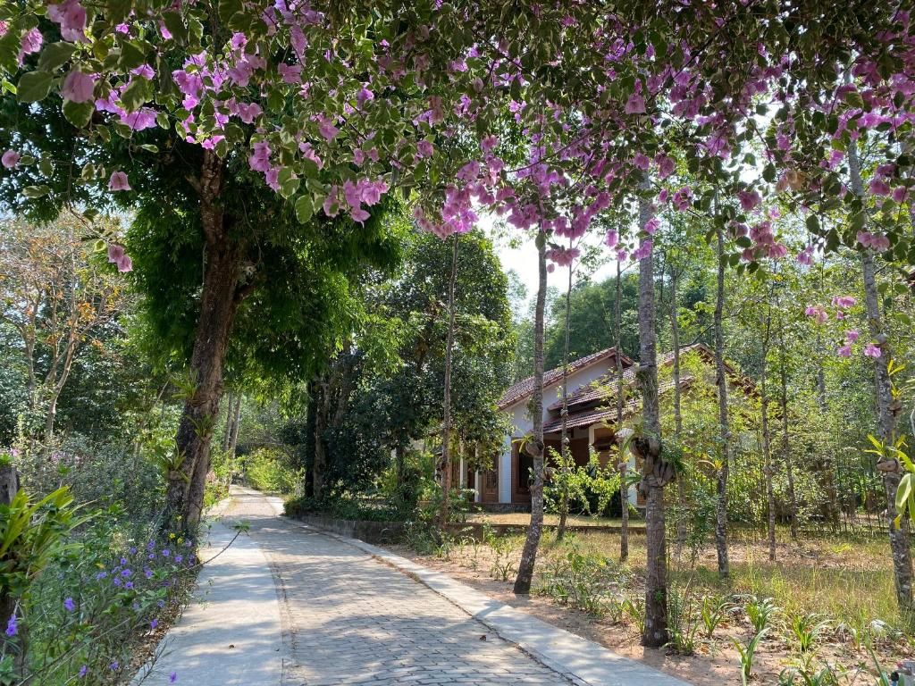 The Garden House Phu Quoc Resort фото 33