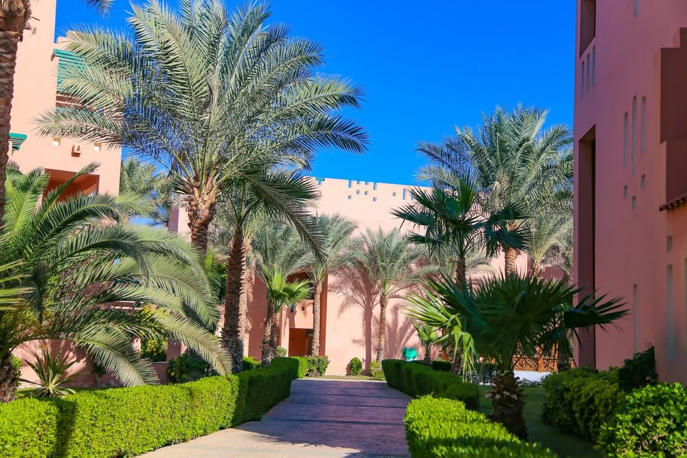 Rehana Sharm Resort Aquapark & Spa фото 335