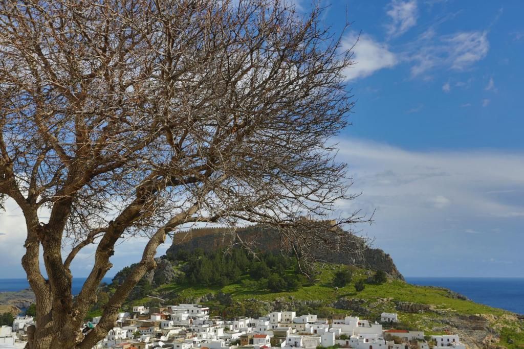 Little Lindos Sea View Studios фото 11