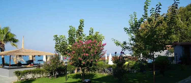 Фото отеля Adora Calma Beach