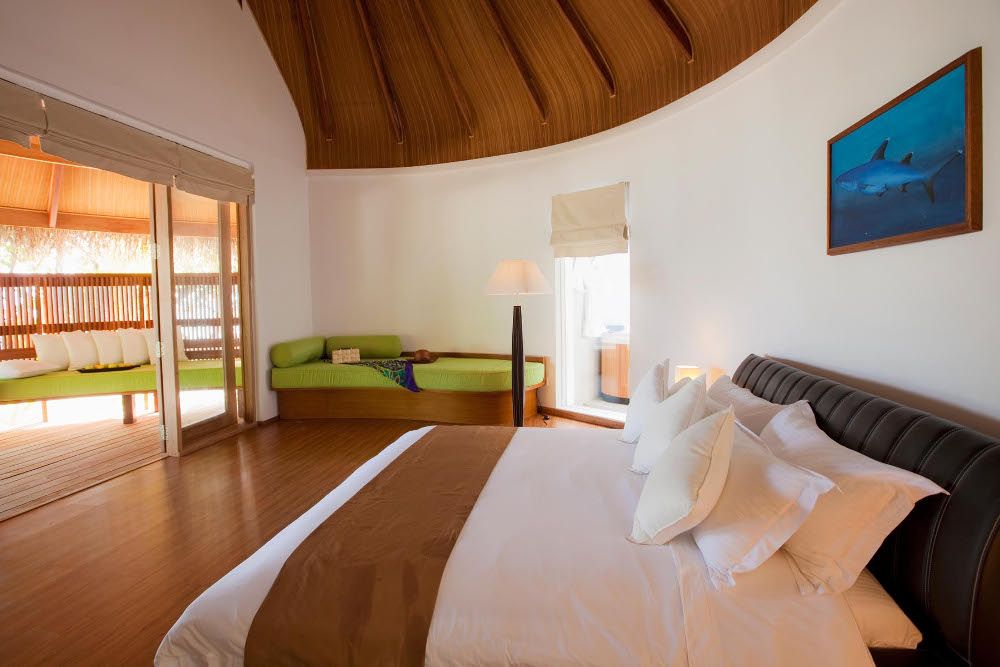 Niva Kuramathi Maldives фото 152