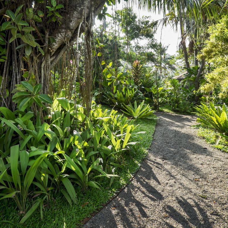 Eraeliya Villas & Gardens фото 9