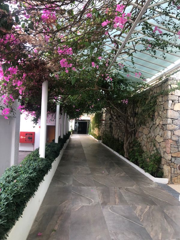 La Quinta by Wyndham Bodrum фото 84