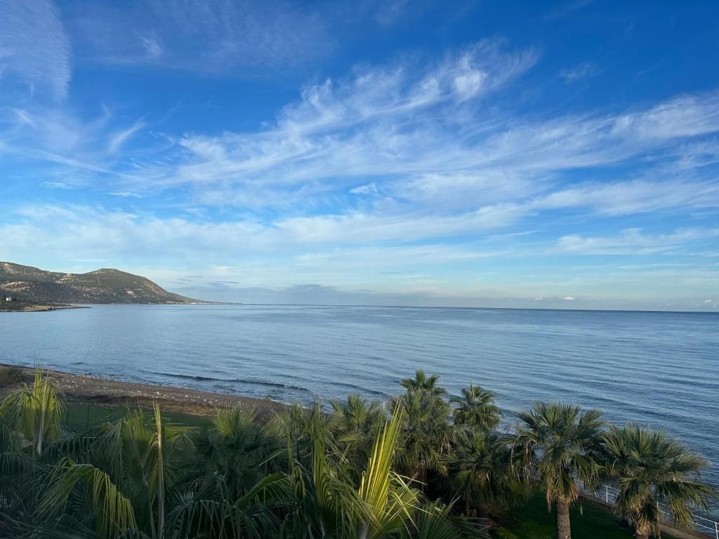 Souli Beach Hotel фото 8