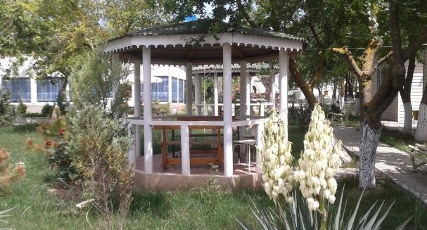 Фото отеля Дружба