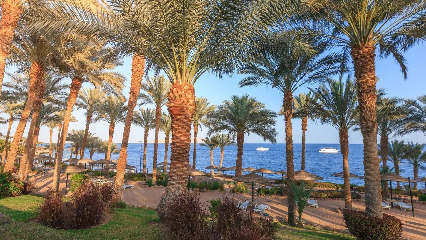 Grand Rotana Resort & Spa фото 6