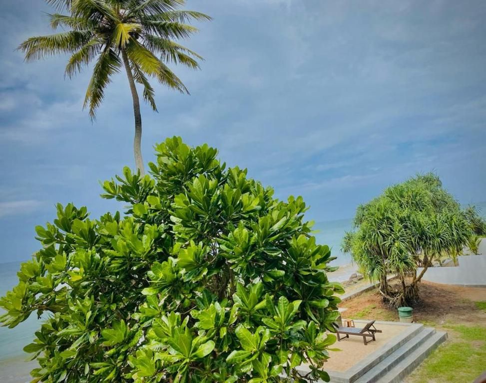 Sevenra Grand Beach фото 14