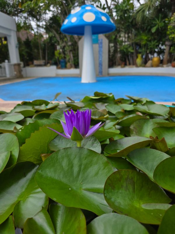 Andaman Beach Suites Hotel фото 71