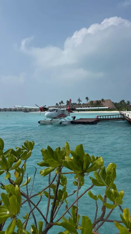 Cinnamon Velifushi Maldives фото 62