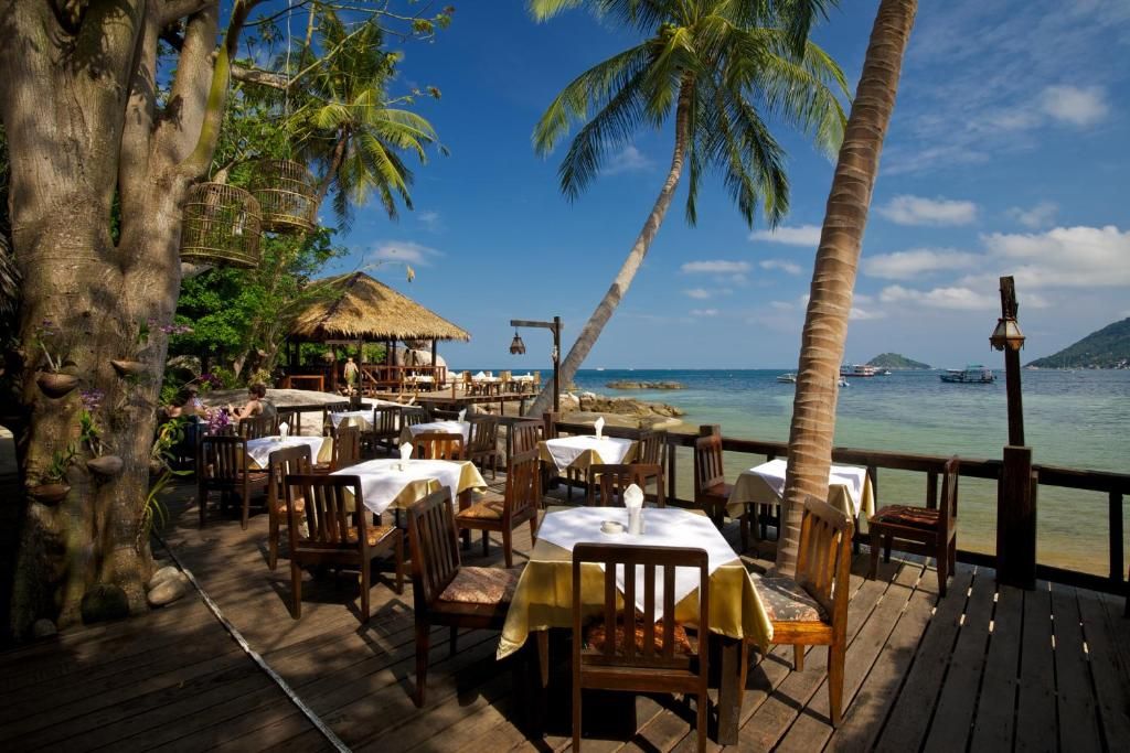 Sensi Paradise Beach Resort фото 95