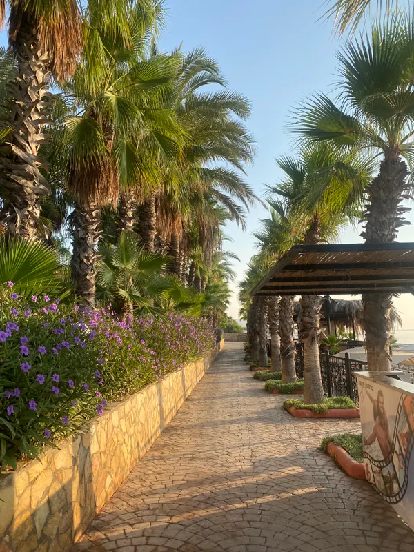 Marvida Hotel Akman Park фото 54