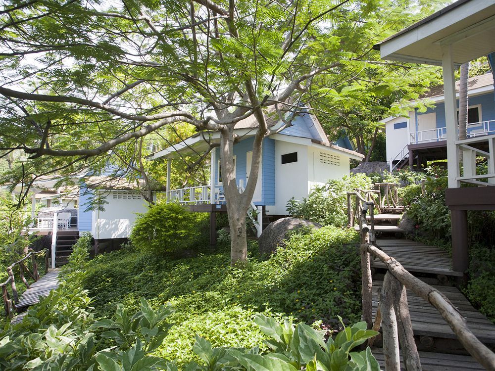 Koh Tao Hillside фото 116