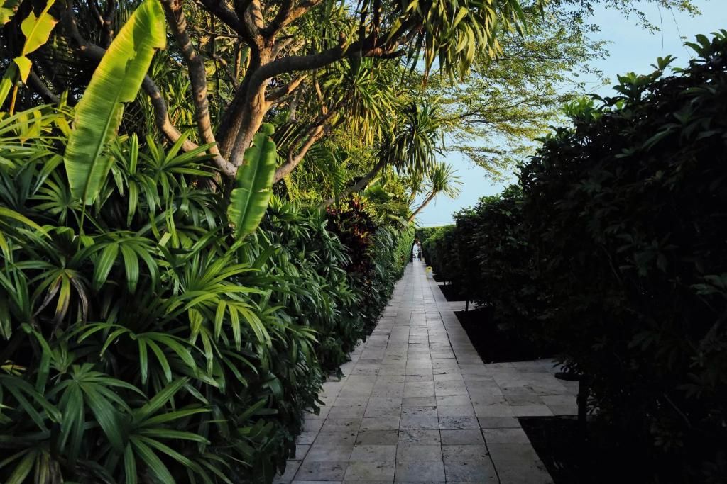 The Standard Spa Miami Beach фото 33