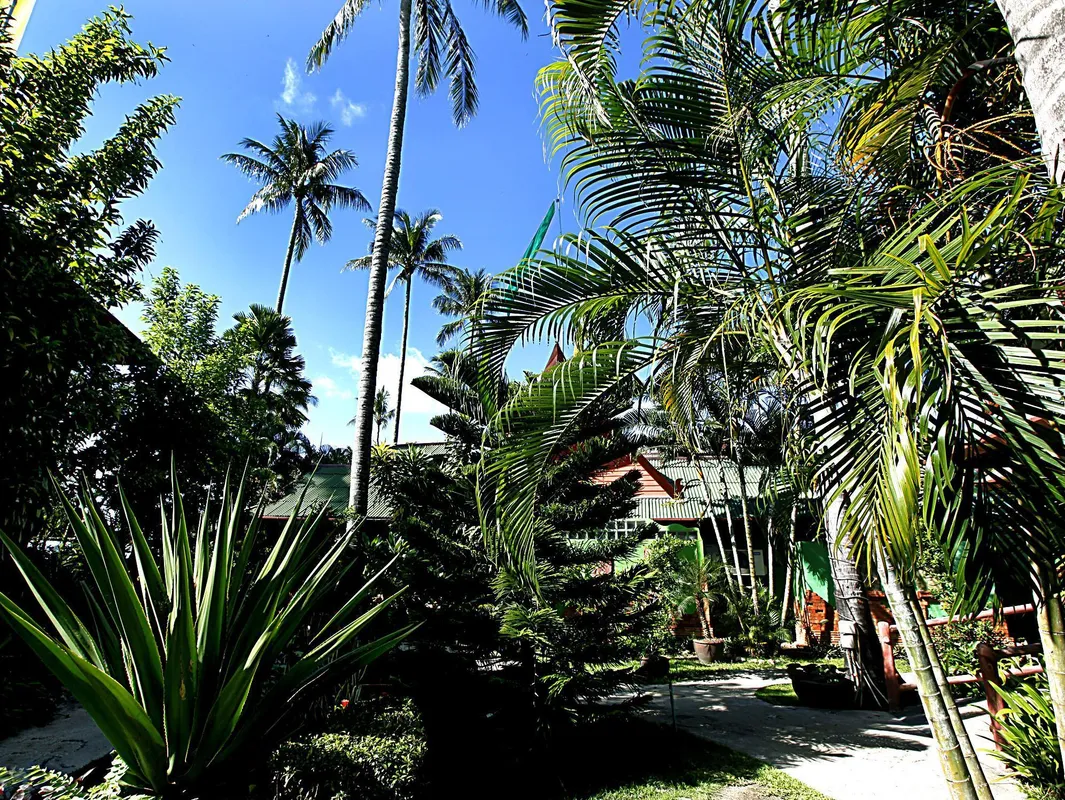 Friendship Beach Resort фото 16