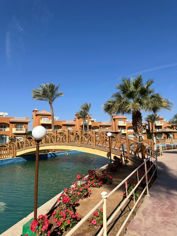 Parrotel Lagoon Waterpark фото 118
