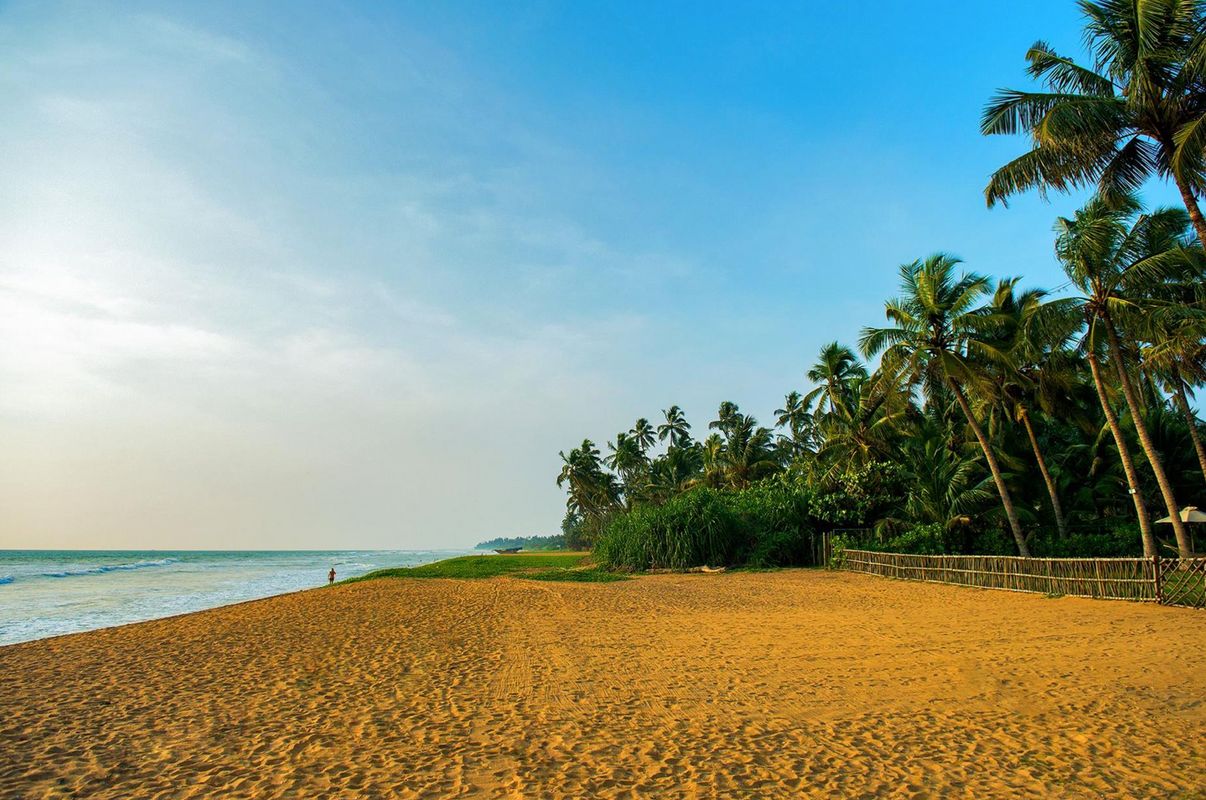 Taprobana Wadduwa by Asia Leisure фото 15