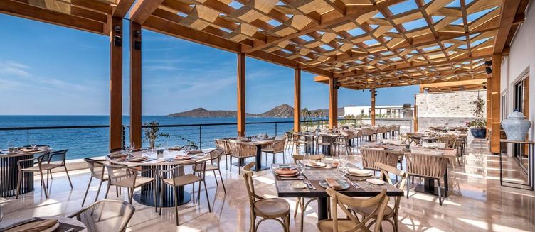 Фото отеля Allium Bodrum Resort & Spa (Adults Only)