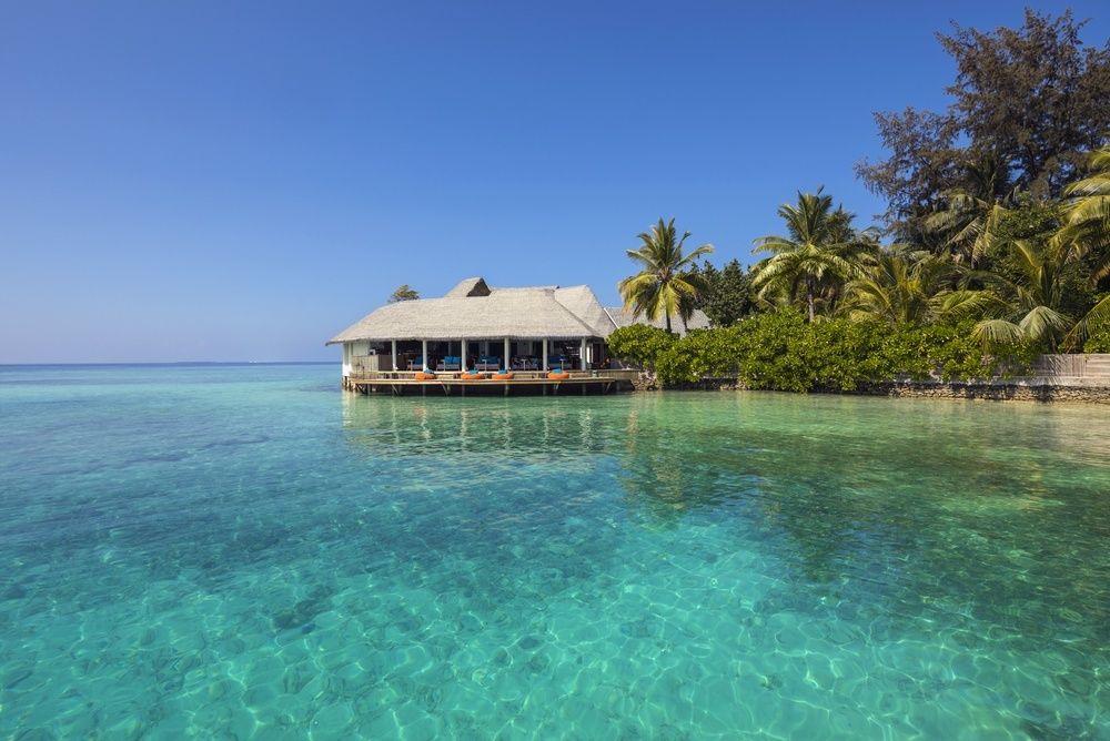 Centara Ras Fushi Resort & Spa Maldives (Adults Only) фото 82