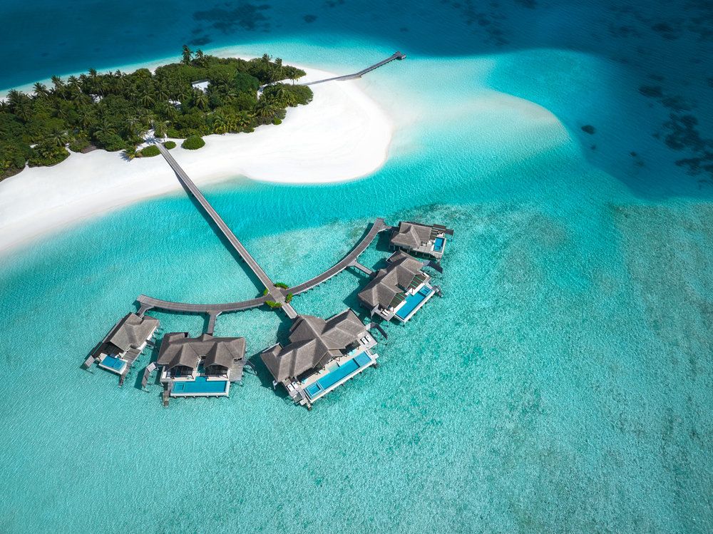 Niyama Private Islands Maldives фото 66