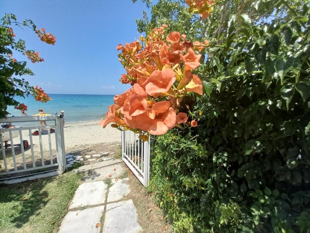 Greek Pride Evlogia Seaside фото 17