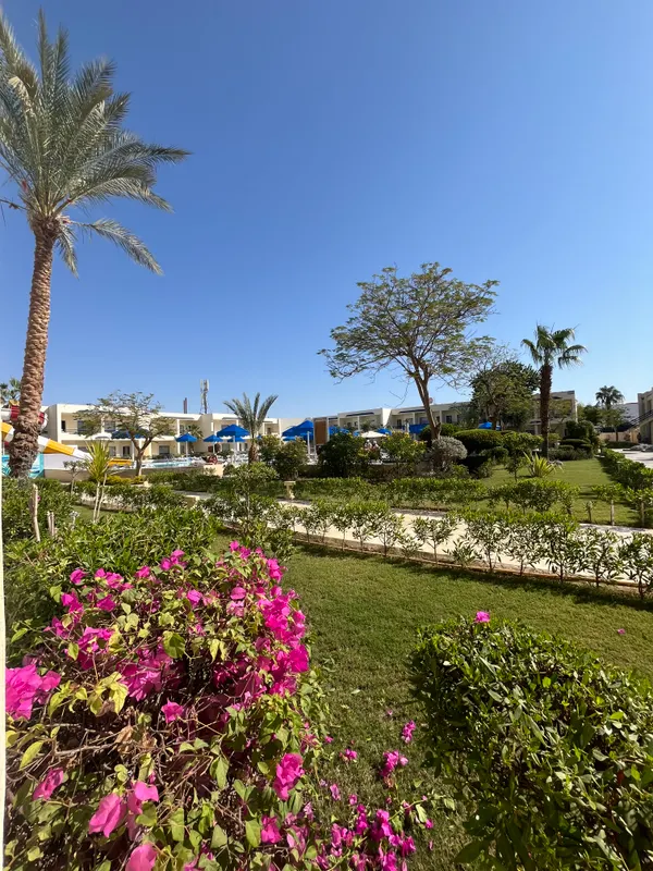 Cataract Sharm Resort фото 35