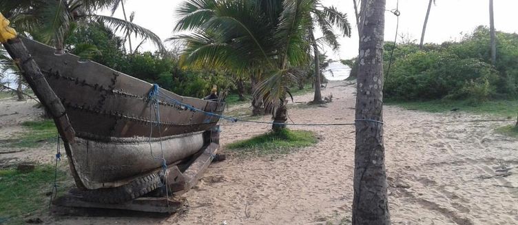 Фото отеля Lobo's Guest House
