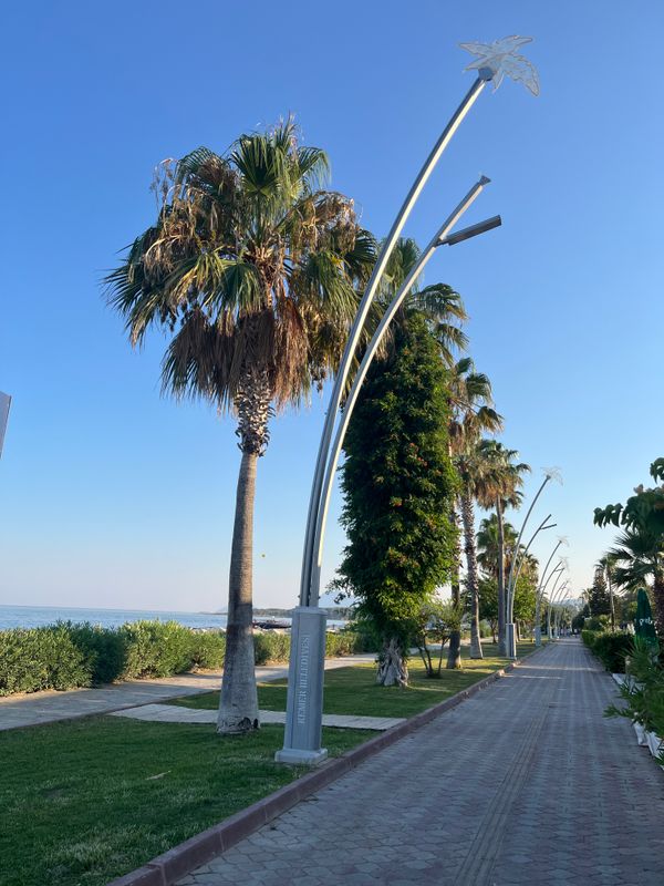 Istanbul Beach Hotel фото 39