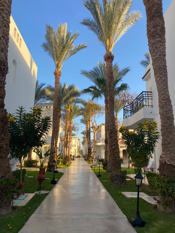 Jaz Fanara Resort & Residence фото 51