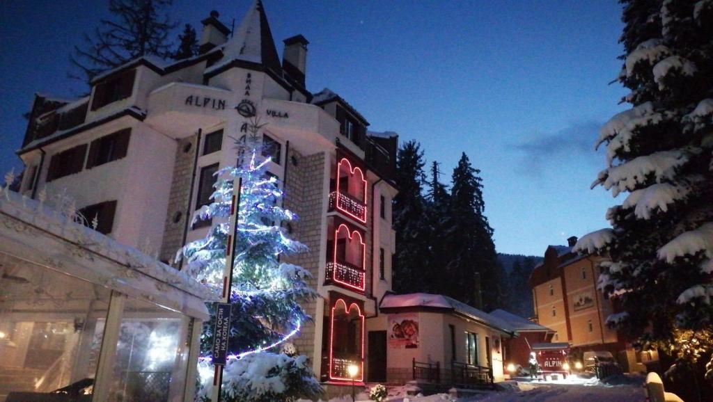 Hotel Alpin фото 10