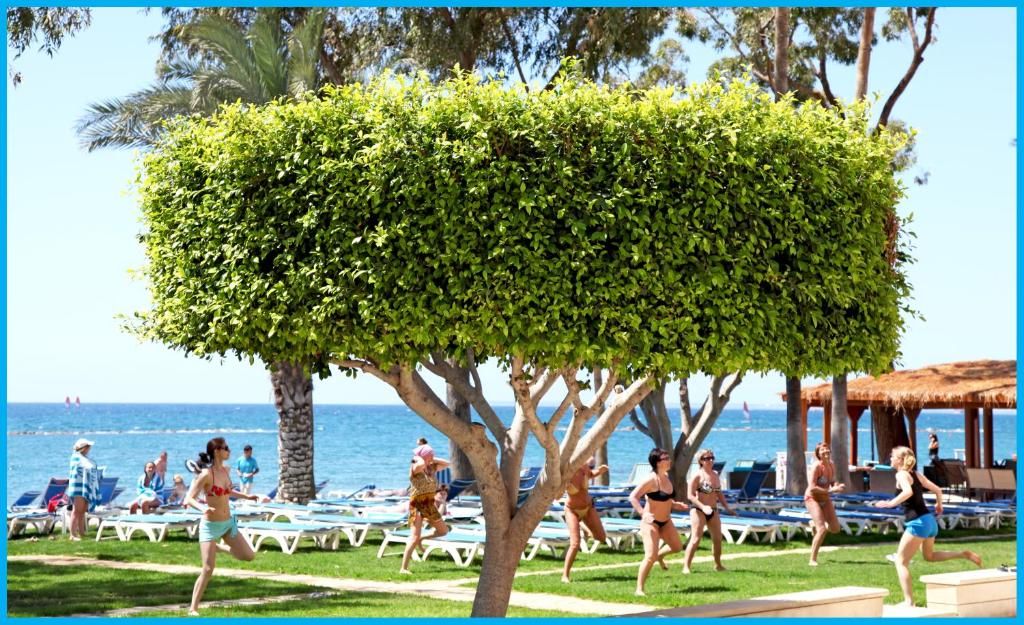 Poseidonia Beach Hotel фото 19