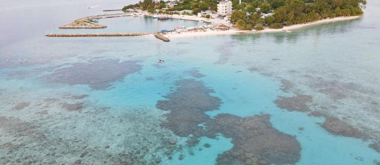 Фото отеля Alimas Retreat Felidhoo