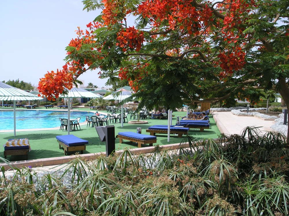 Ghazala Beach Hotel фото 73