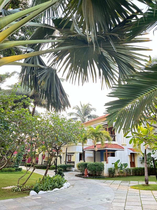 Radisson Blu Resort Goa Cavelossim Beach фото 41