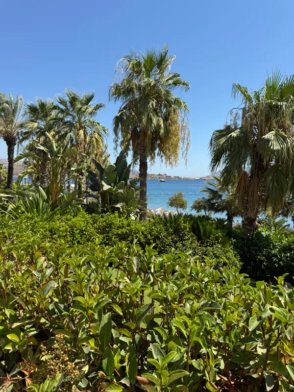 Mirada Exclusive Bodrum фото 66