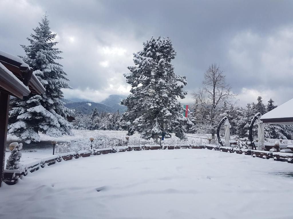 Royal Borovets фото 4
