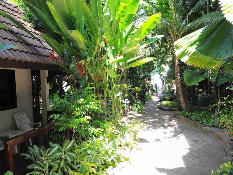 Samui Natien Resort фото 14