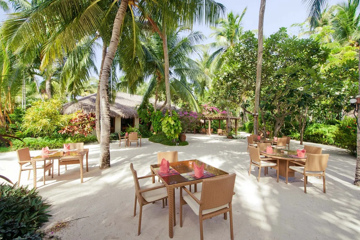 Niva Kuramathi Maldives фото 13