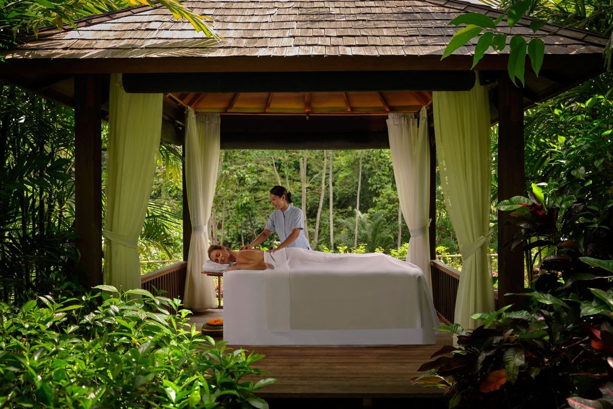 The Westin Resort & Spa Ubud фото 10