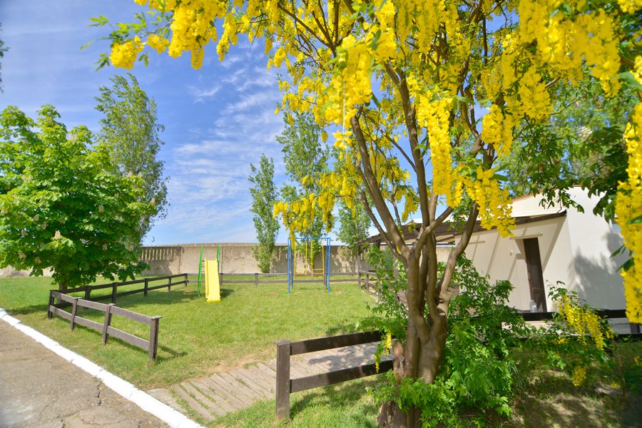 Таврида Мыс Лукулл фото 78