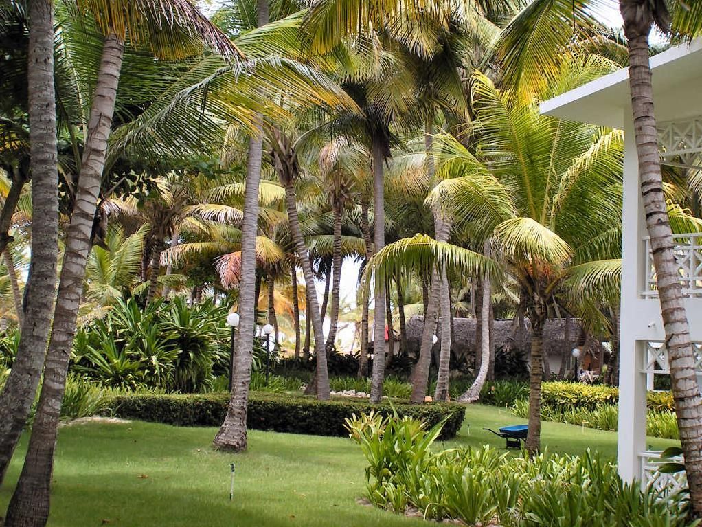Bakung Beach Resort фото 21