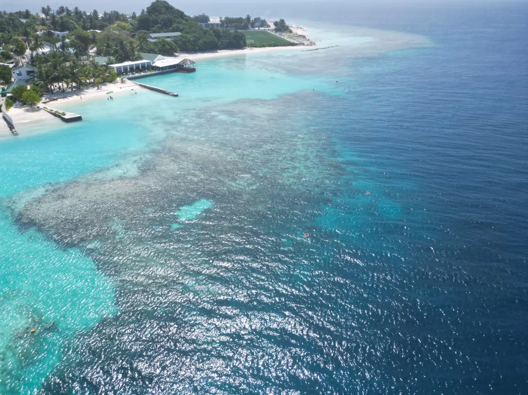 Lagoon View Maldives фото 16