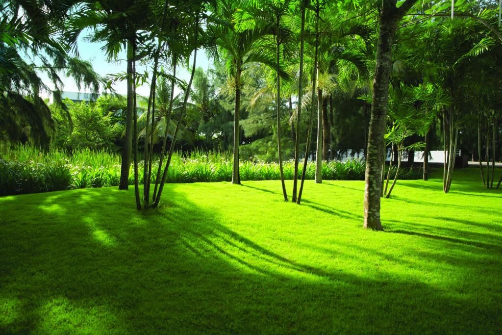 Sanctuary Residential Resort Community фото 40