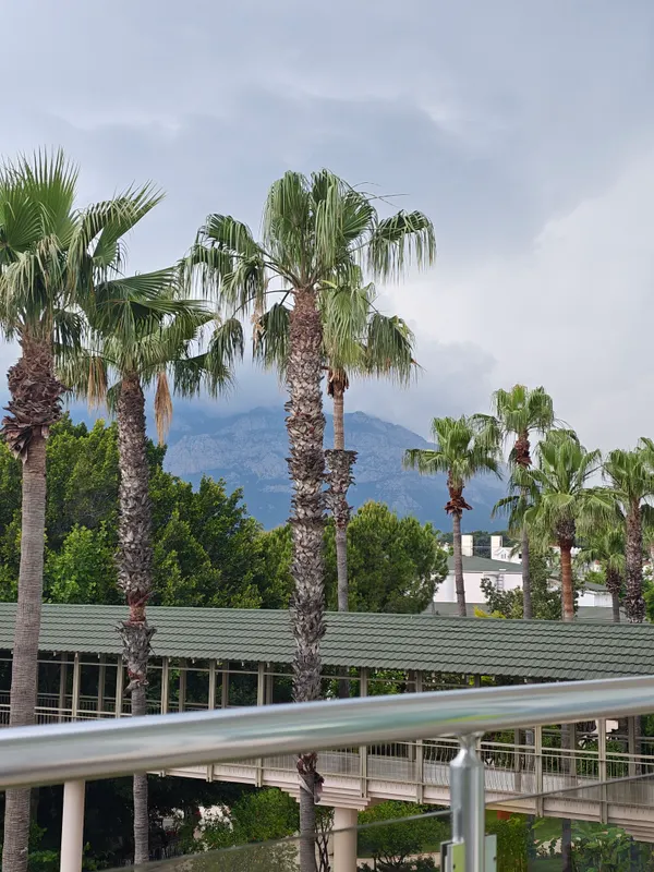 Dobedan World Palace Kemer фото 115