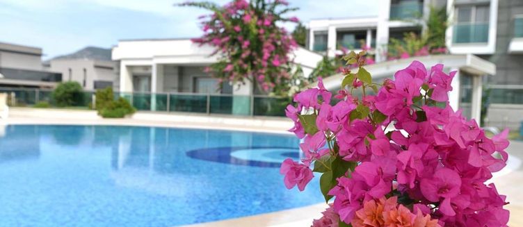 Фото отеля Royal Palm Residence