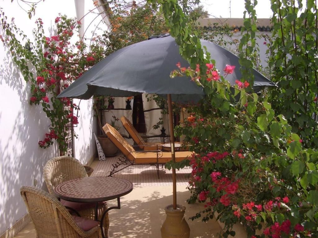 Riad Ifoulki фото 13