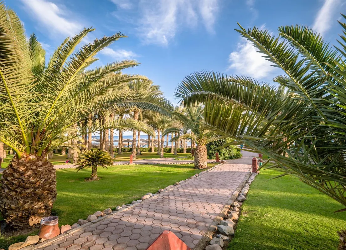 Fort Arabesque Resort, Spa & Villas фото 27